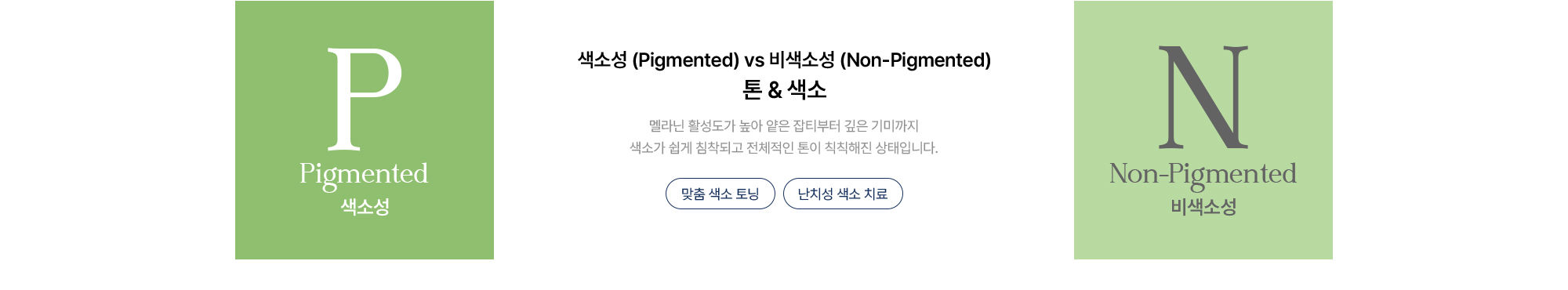 [톤 & 색소] 색소성 vs 비색소성 · 멜라닌 활성도에 따른 잡티부터 깊은 기미까지 · 맞춤 색소 토닝 · 난치성 색소 치료
