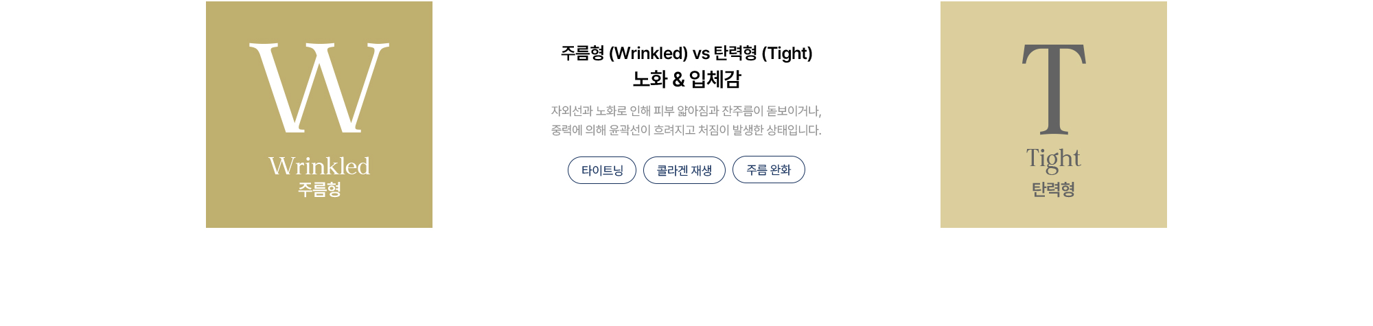 [노화 & 입체감] 주름형 vs 탄력형 · 피부 앏아짐과 잔주름·처짐 개선 · 타이트닝 · 콜라겐 재생 · 주름 완화