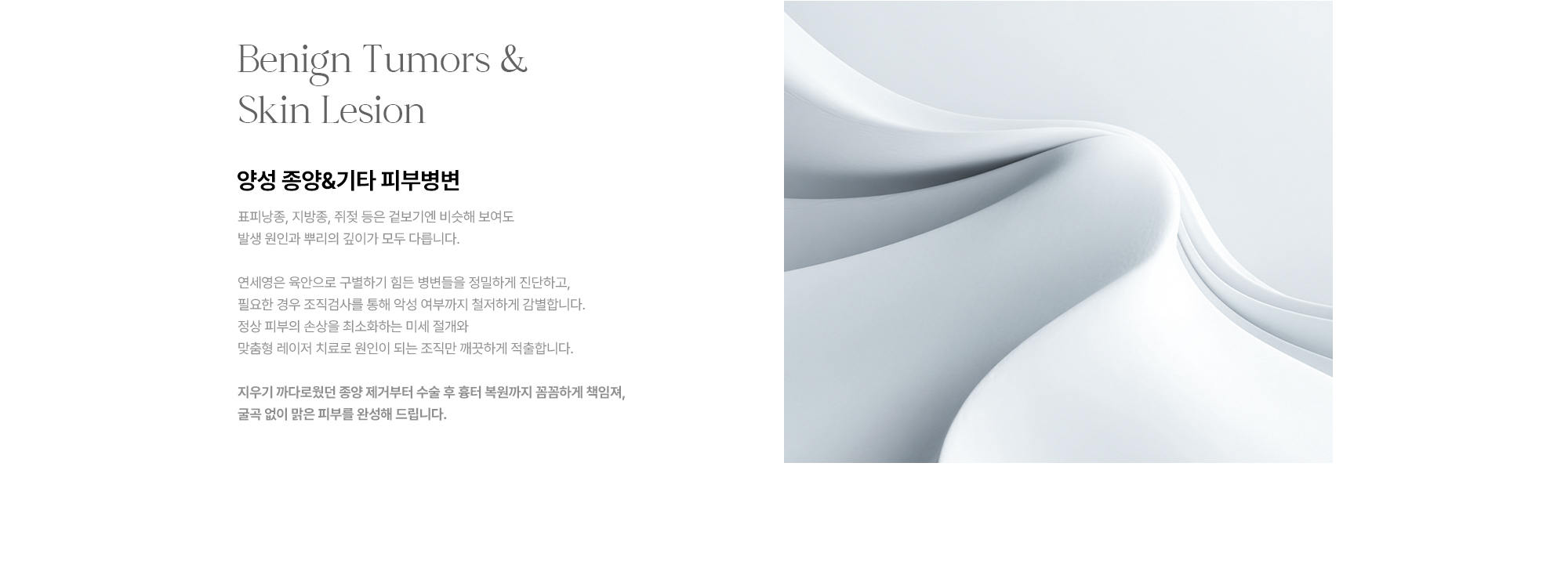 [Benign Tumors & Skin Lesion 양성 종양&기타 피부병변] 정밀 진단·악성 여부 감별 · 미세 절개·맞춤형 레이저로 원인 조직 적출 · 종양 제거부터 수술 후 흉터 복원까지