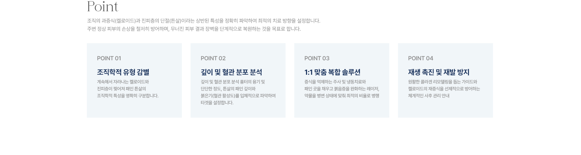 [Point] 조직학적 유형 감별 · 깊이 및 혈관 분포 분석 · 1:1 맞춤 복합 솔루션 · 재생 촉진 및 재발 방지