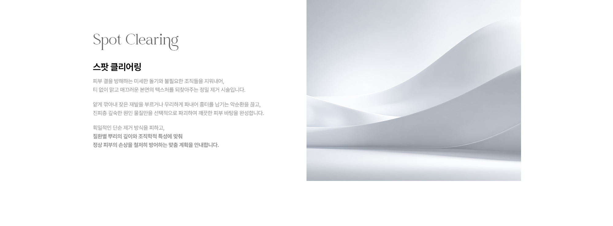[Spot Clearing 스팟 클리어링] 미세한 돌기·불필요한 조직 제거 · 진피층 깊은 원인 물질 선택적 파괴 · 질환별 뿌리 깊이·조직학적 특성 맞춤 계획