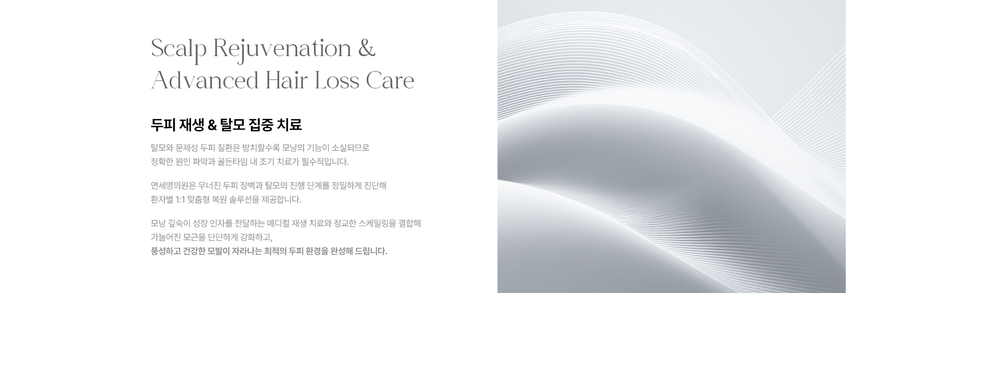 [Scalp Rejuvenation & Advanced Hair Loss Care 두피 재생 & 탈모 집중 치료] 두피 장벽·탈모 진행 단계 정밀 진단 · 메디컬 재생 치료·정교한 스케일링 결합 · 환자별 1:1 맞춤형 복원 솔루션