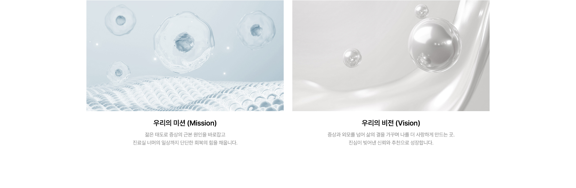 브랜드 스토리